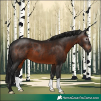 Horse Color:Gray Brown 