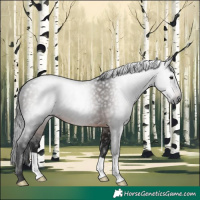 Horse Color:Gray Brown 