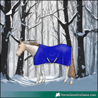 Horse Color:Buckskin Pearl Tobiano Appaloosa