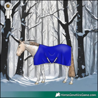 Horse Color:Buckskin Pearl Tobiano Appaloosa 