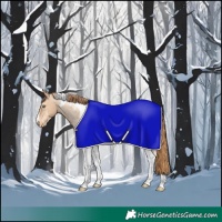 Horse Color:Buckskin Pearl Tobiano Appaloosa