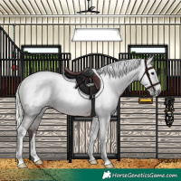 Horse Color:Gray Silver Black Tobiano Appaloosa 