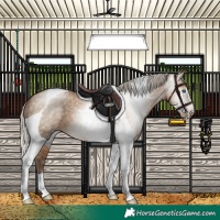 Horse Color:Gray Silver Buckskin Pearl Tobiano 