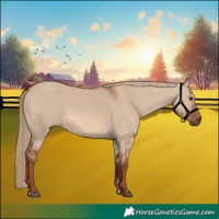 Horse Color:Red Dun 
