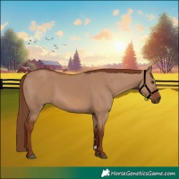 Horse Color:Red Dun 