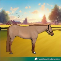 Horse Color:Red Dun 