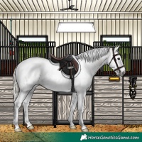 Horse Color:Gray Silver Smoky Grullo Splash Tobiano Appaloosa Rabicano 