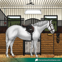 Horse Color:Gray Silver Smoky Grullo Splash Tobiano Appaloosa Rabicano 