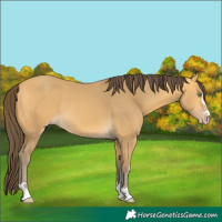 Horse Color:Amber Cream Champagne