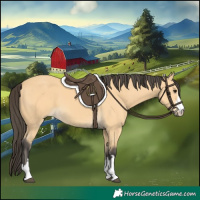 Horse Color:Buckskin 