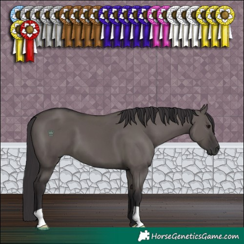 Horse Color:Smoky Grullo 