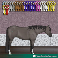 Horse Color:Smoky Grullo