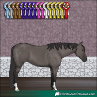 Horse Color:Smoky Grullo 