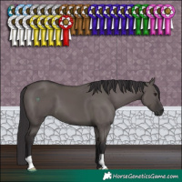 Horse Color:Smoky Grullo 