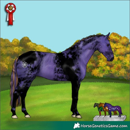 Horse Color:ERROR: UNKNOWN ANOMALY