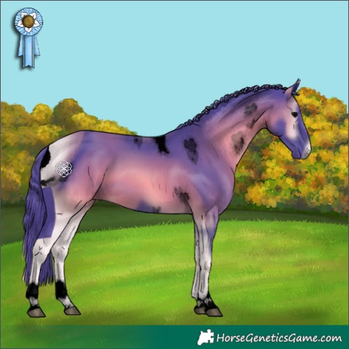 Horse Color:ERROR: UNKNOWN ANOMALY