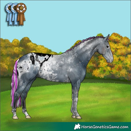 Horse Color:ERROR: UNKNOWN ANOMALY