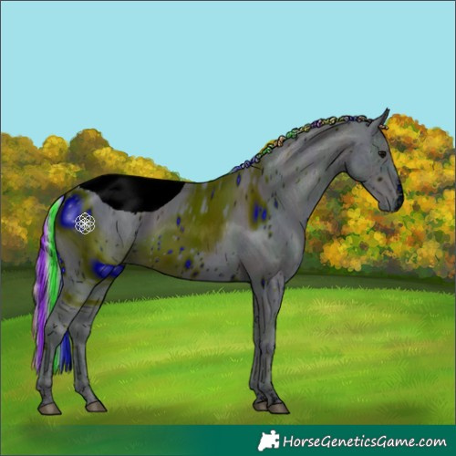 Horse Color:ERROR: UNKNOWN ANOMALY