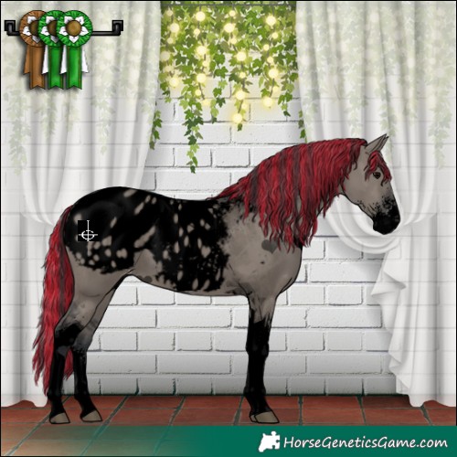 Horse Color:Void Painted Grullo Sabino Tobiano Appaloosa 