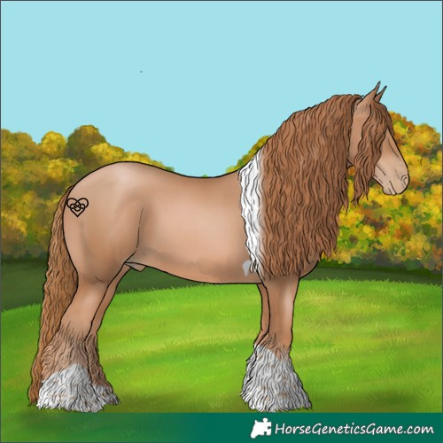 Horse Color:Chestnut Pearl Tobiano