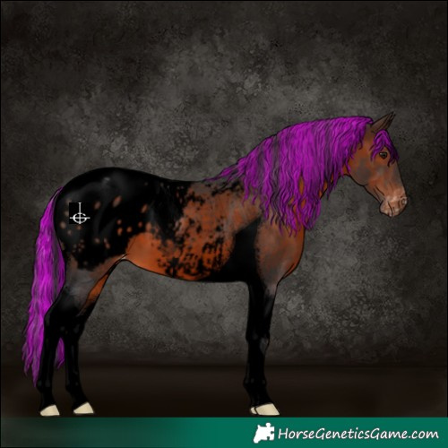 Horse Color:Void Painted Brown Tobiano Blanket 