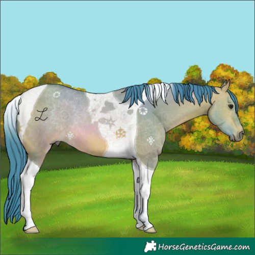 Horse Color:Watercolor Bay Dun Tobiano 