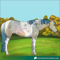 Horse Color:Watercolor Bay Dun Tobiano