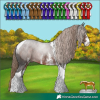 Horse Color:White Spotted Liver Chestnut Tobiano Rabicano 