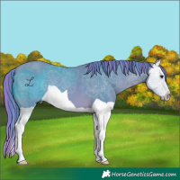 Horse Color:Painted Watercolor Bay Splash 