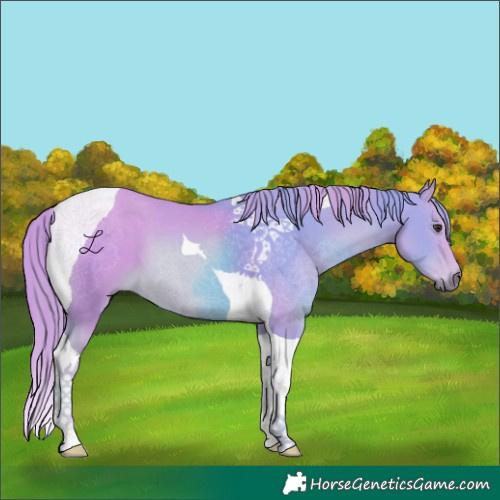 Horse Color:Watercolor Chestnut Tobiano 