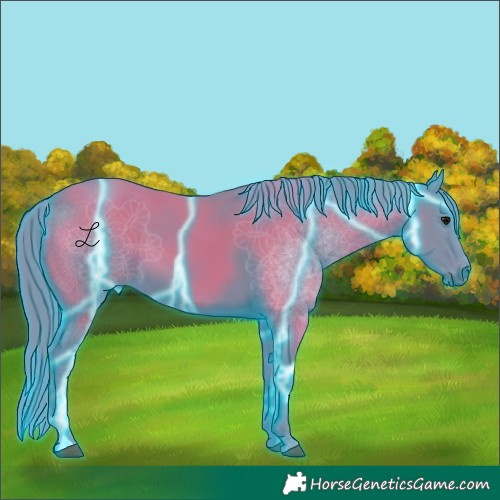 Horse Color:Thunderstruck Watercolor Black 