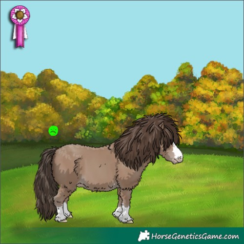 Horse Color:Classic Champagne 