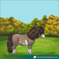 Horse Color:Classic Champagne 