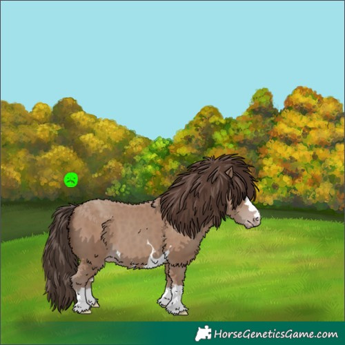 Horse Color:Classic Champagne 