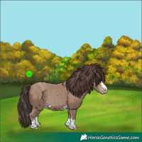 Horse Color:Classic Champagne 