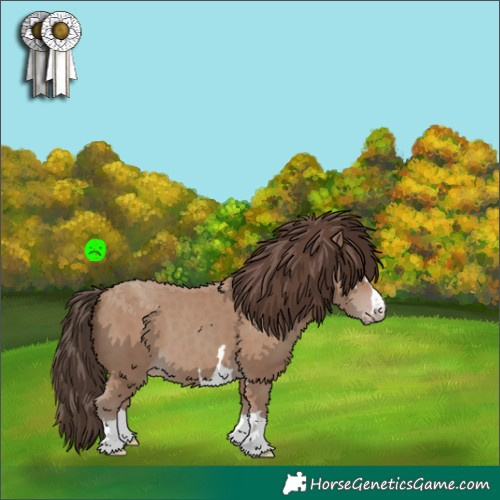 Horse Color:Classic Champagne 