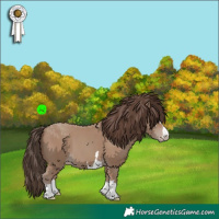 Horse Color:Classic Champagne 