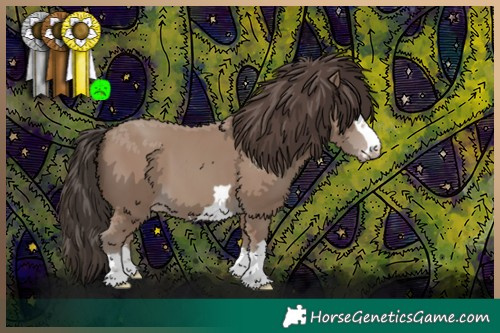 Horse Color:Classic Champagne 