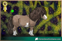 Horse Color:Classic Champagne 