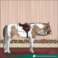 Horse Color:Brown Dun Tobiano