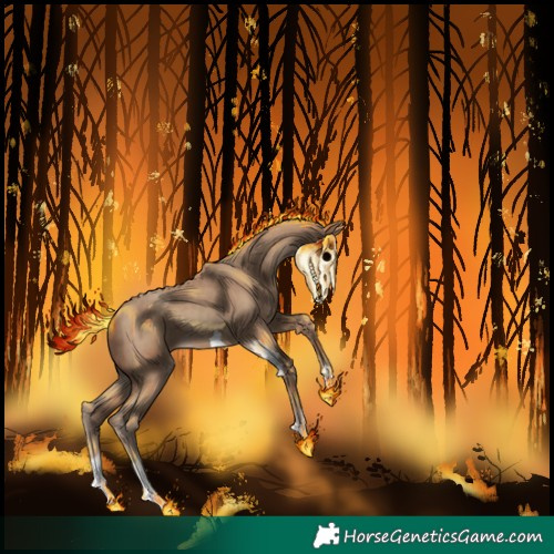 Horse Color:Classic Champagne 