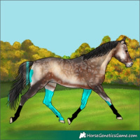Horse Color:Brown Ice Onyx 