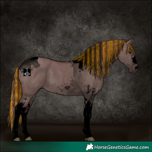 Horse Color:Void Painted Chocolate Grullo Tobiano Rabicano 