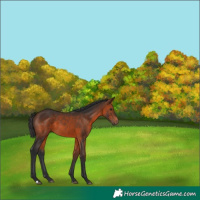 Horse Color:Brown 