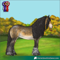 Horse Color:Buckskin Mushroom Tobiano Rabicano 