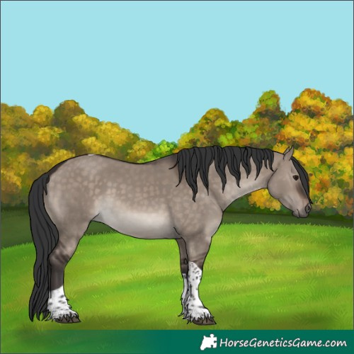 Horse Color:Brown Dun Mushroom Tobiano Rabicano 