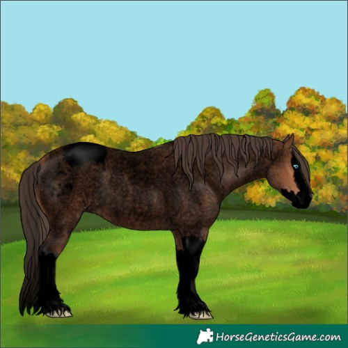 Horse Color:Void Bay Roan Splash Snowcap 
