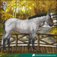 Horse Color:Brown Roan Rabicano