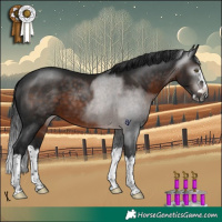 Horse Color:Gray Brown Splash Rabicano 