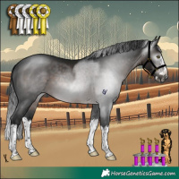 Horse Color:Gray Brown Splash Rabicano 